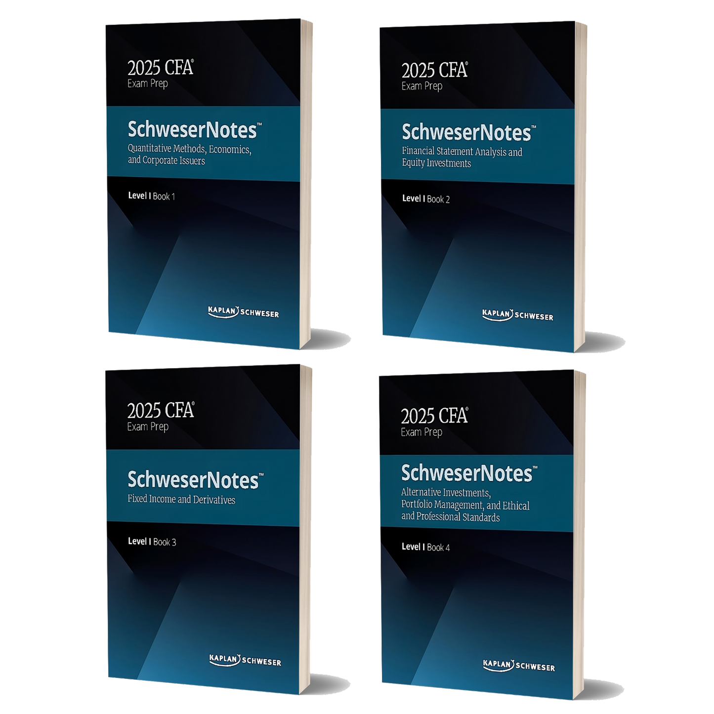 2025 CFA Level 1 SchweserNotes Fimancial Statement Analysis and Equity Investments,Quantitative Methods, English Notes Books
